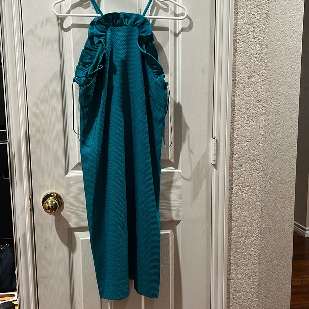 Tina Turk midi dress size 2